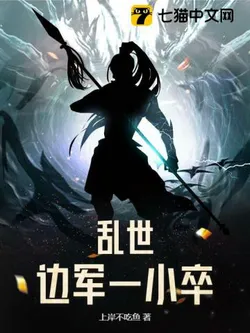 A Small Soldier of the Border Army in a Chaotic World