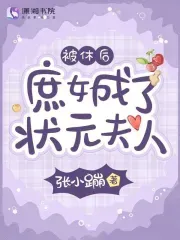 After Being Divorced, The Concubine's Daughter Became the Top Scholar's Wife