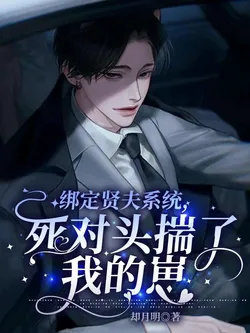 Bound to the Virtuous Husband System, My Rival is Pregnant With My Child