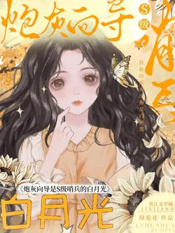 Cannon Fodder Guide is the S-Class Sentinel's White Moonlight