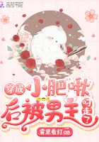 Carried Away By The Male Lead After Transmigrating As A Little Chubby Bird