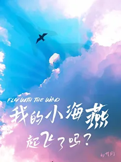 Did My Little Seagull Take Off?