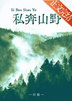 Elopement in the Mountains and Fields [Road Trip Novel]