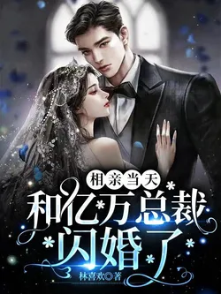 Flash Married to a Billionaire CEO on the Day of the Blind Date