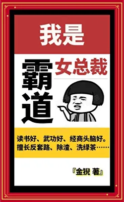 I Am a Dominant Female CEO