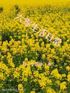 Living and Prospering While Gossiping in the 60s