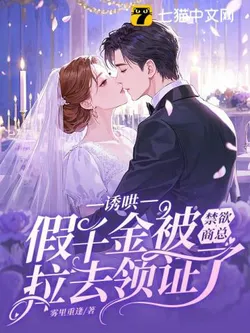 Lured: The Fake Heiress Was Coaxed Into Marriage By Abstinent CEO Shang