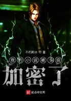 My Novel Was S-Class Encrypted