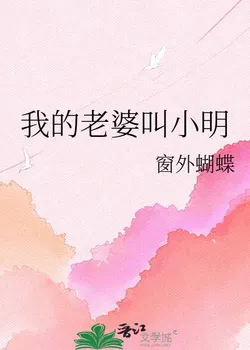 My Wife is Xiao Ming