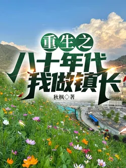 Rebirth: Becoming Township Mayor in the 80s