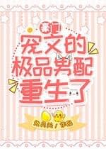 Rebirth of the Tool Man in a Pampered Protagonist Novel