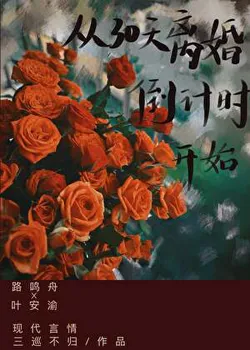 Starting from the 30-Day Divorce Countdown