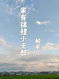 The Family Has a Lucky Little Husband