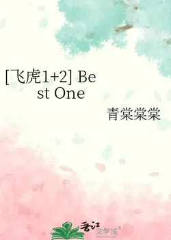 [The Flying Tigers 1+2] Best One