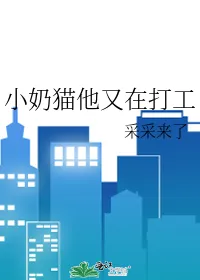 The Little Kitten Is Back to Work