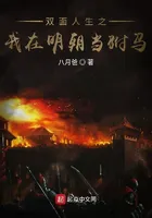 Two-Faced Life: I Became a Consort in the Ming Dynasty