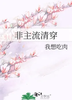 Unconventional Qing Dynasty Transmigration