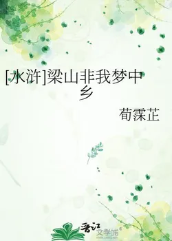 Water Margin: Liangshan Is Not My Dreamland