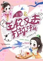 Your Highness, the Princess Consort Went Robbing Again