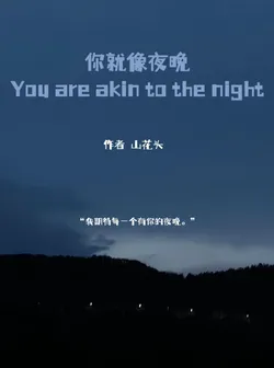 You're Like the Night